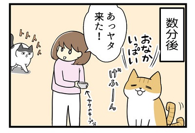  背中に感じる視線の正体は2