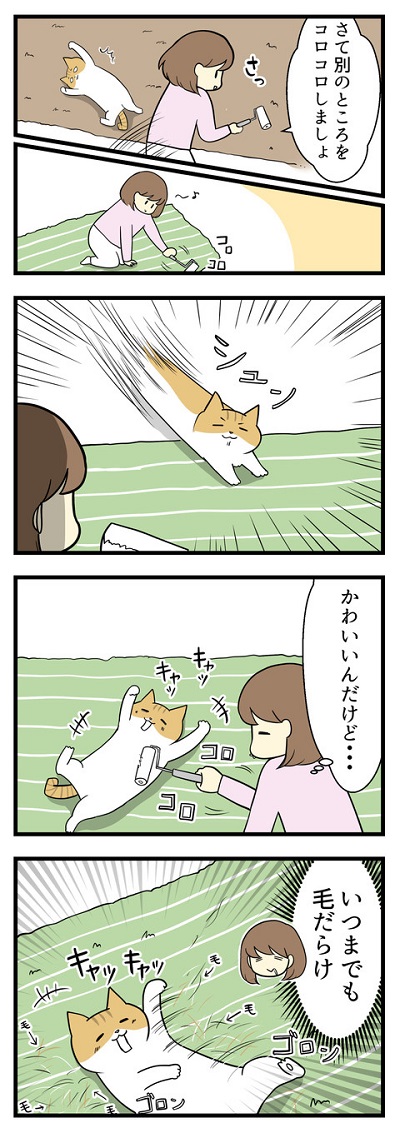  好きです、コロコロ2