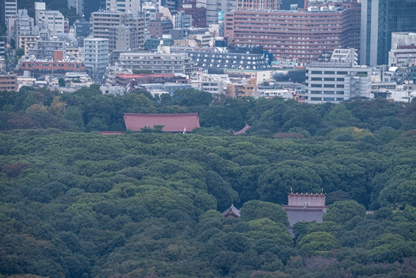 sibuya 渋谷スカイ SHIBUYA SKY スクランブル交差点