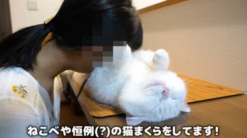至高 猫まくら 洗いたて ふわっふわ ポムさん しまちゃん YouTube 寝顔 カリン様
