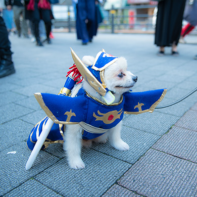 池ハロ 2019 コスプレ コスプレイヤー 宇垣美里 えなこ KATE 鬼滅の刃