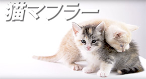 CV部 竹達彩奈 アテレコ 擬人格化 クラウン 猫 うさぎ 動画 インタビュー