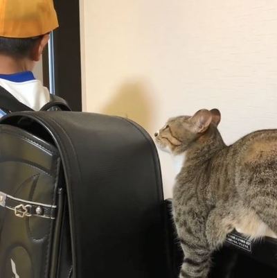 ミーちゃん ランドセル