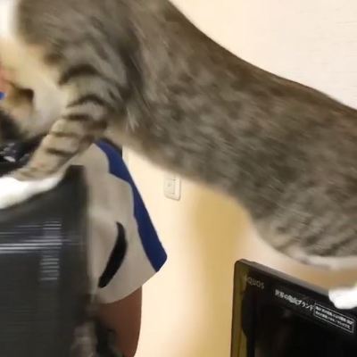 ミーちゃん ランドセル