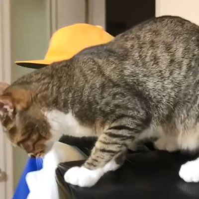 ミーちゃん ランドセル