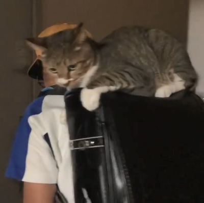 ミーちゃん ランドセル