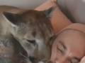 起こしにきたピューマといちゃいちゃ至福時間　甘えるピューマのしぐさがやっぱりネコ科