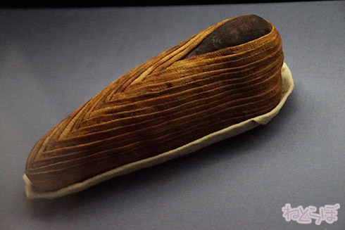 ミイラ 科学博物館 たけし