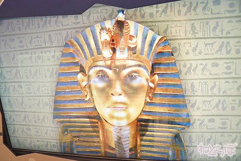 ミイラ 科学博物館 たけし