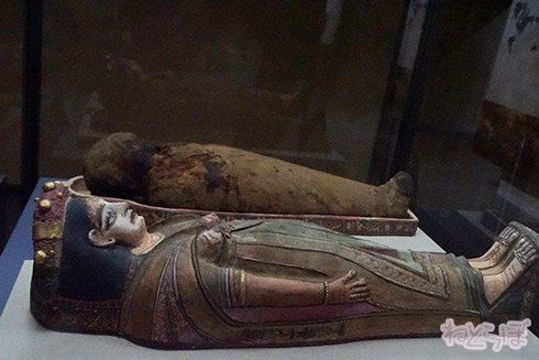 ミイラ 科学博物館 たけし