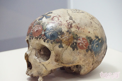 ミイラ 科学博物館 たけし