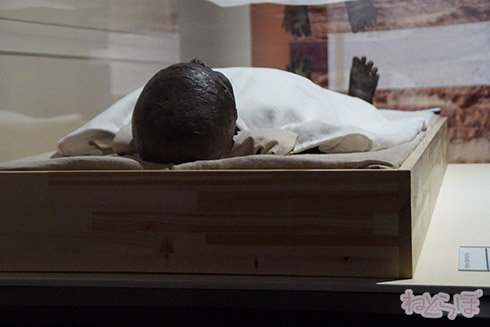 ミイラ 科学博物館 たけし