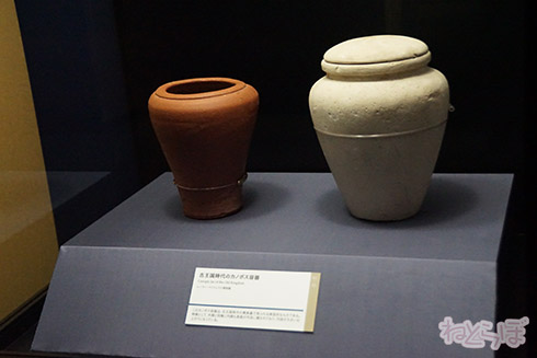 ミイラ 科学博物館 たけし