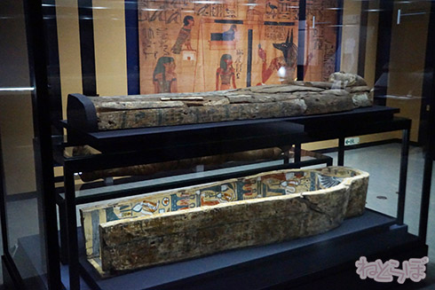 ミイラ 科学博物館 たけし