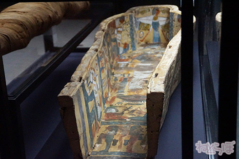 ミイラ 科学博物館 たけし