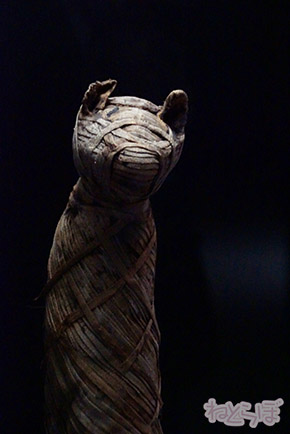 ミイラ 科学博物館 たけし