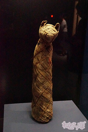 ミイラ 科学博物館 たけし