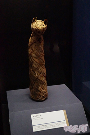 ミイラ 科学博物館 たけし