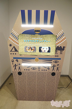 ミイラ 科学博物館 たけし