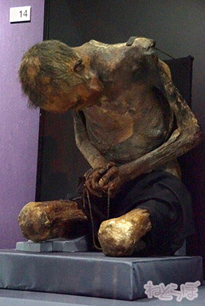 ミイラ 科学博物館 たけし