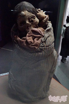 ミイラ 科学博物館 たけし