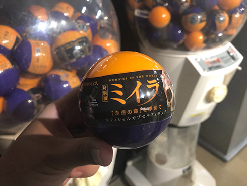 ミイラ 科学博物館 たけし