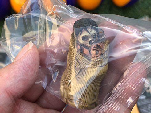 ミイラ 科学博物館 たけし