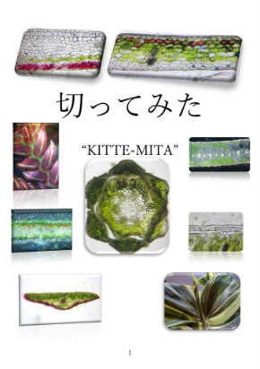 同人誌 図書館 司書 植物 顕微鏡