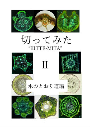 同人誌 図書館 司書 植物 顕微鏡