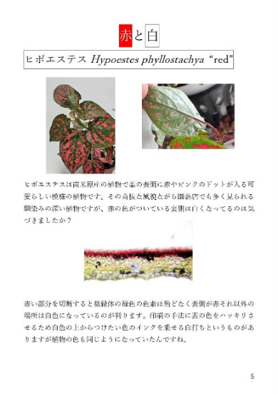 同人誌 図書館 司書 植物 顕微鏡