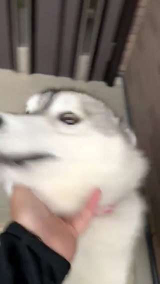おすすめ