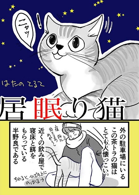 波多野テルテさん