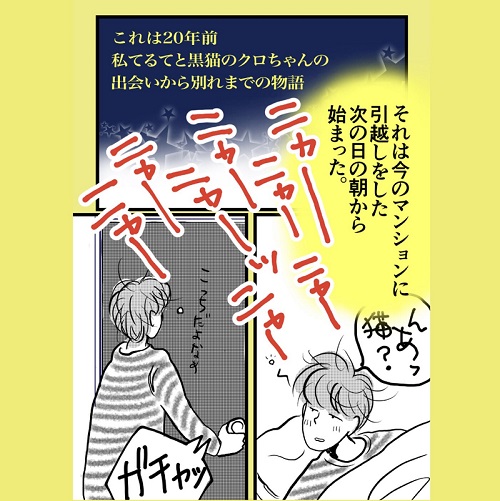 波多野テルテさん