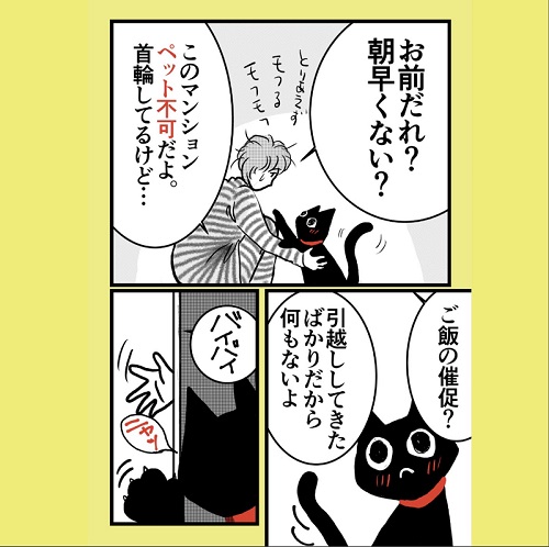 波多野テルテさん