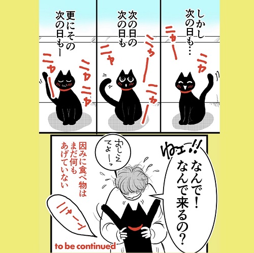 波多野テルテさん