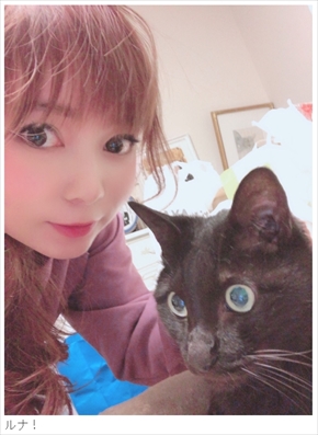 中川翔子 保護猫 子猫 保護 ブログ ルナ 黒猫