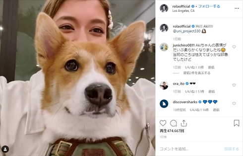 ローラ 保護犬 あき UNI project インスタ