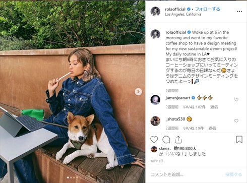 ローラ 保護犬 あき UNI project インスタ