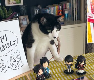 売り子猫 ミーくん