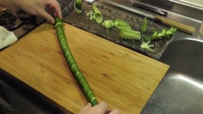 蛇腹きゅうりを伸ばしたところ