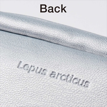 ホッキョクウサギの足が伸びるポーチ