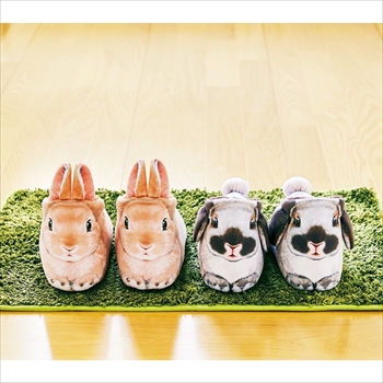 ホッキョクウサギの足が伸びるポーチ