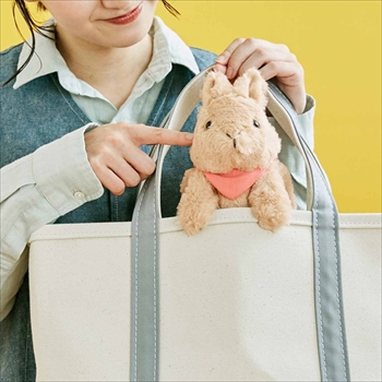 ホッキョクウサギの足が伸びるポーチ