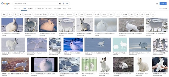 ホッキョクウサギの足が伸びるポーチ