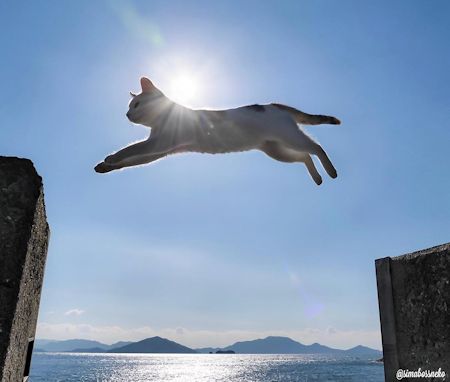 きらめきジャンプ