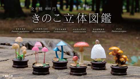 きのこ立体図鑑 カプセルトイ フィギュア 菌糸工房 Qualia