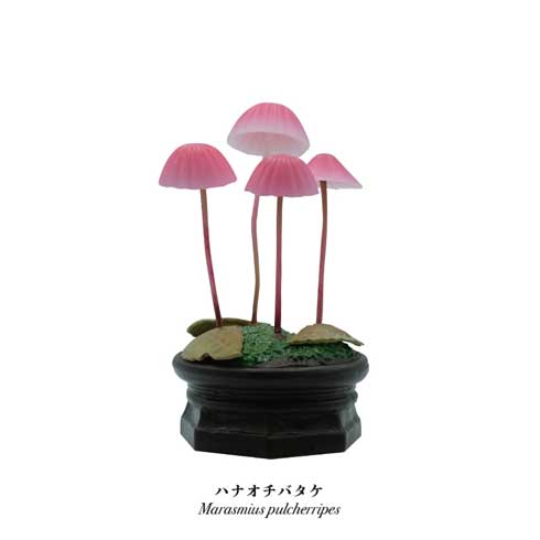きのこ立体図鑑 カプセルトイ フィギュア 菌糸工房 Qualia
