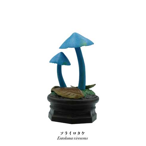 きのこ立体図鑑 カプセルトイ フィギュア 菌糸工房 Qualia