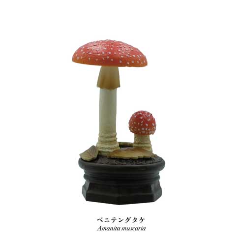 きのこ立体図鑑 カプセルトイ フィギュア 菌糸工房 Qualia