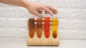 試験管に入った菌